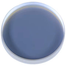 Schutzglas für Laseroptiken – D30 × T2 mm (1–3 kW) - Ebbert - beam.deals